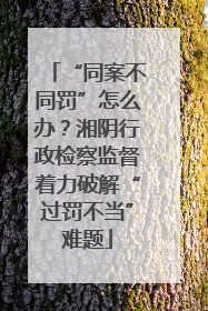 “同案不同罚”怎么办？湘阴行政检察监督着力破解“过罚不当”难题
